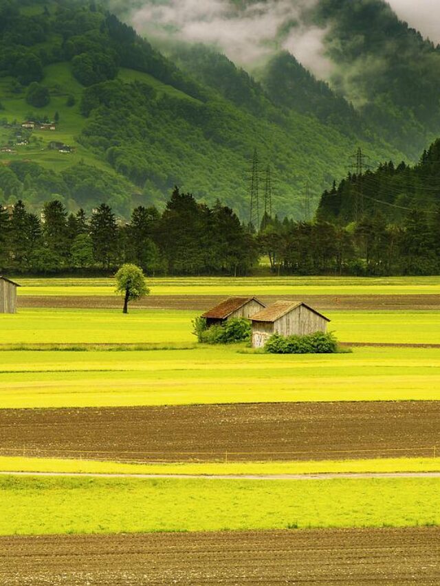 cropped-field-valley-landscape-176602.jpg