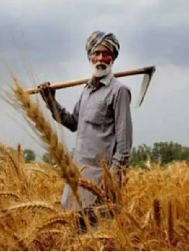 PM kisan Yojana: 12वीं किस्त से पहले करवा लें ये काम, नहीं तो अटक सकता है आपका पैसा