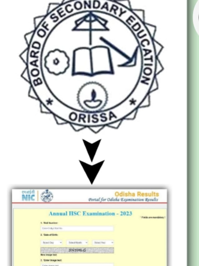 How to check the Odisha CHSE Result 2023?