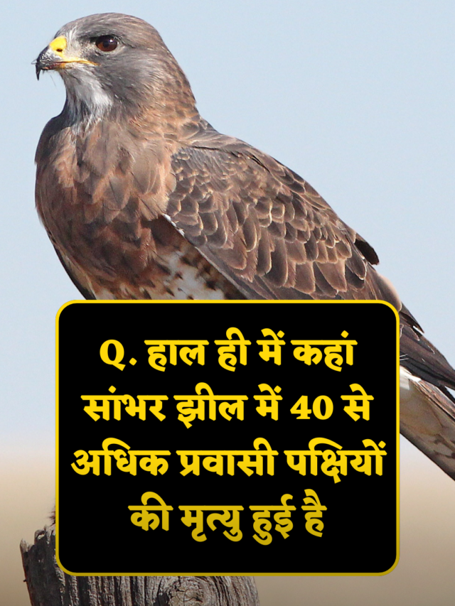 cropped-Interesting-Gk-Questions-in-Hindi.png